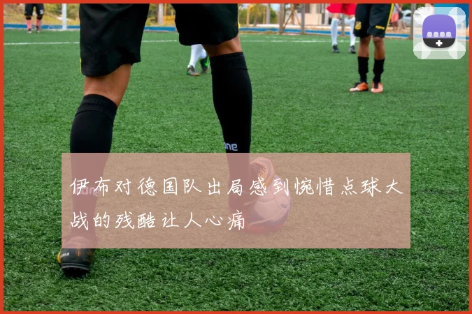 伊布对德国队出局感到惋惜点球大战的残酷让人心痛