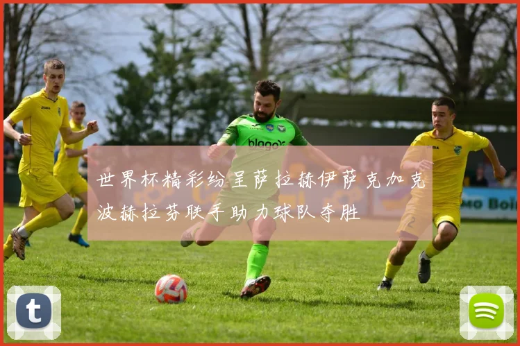 世界杯精彩纷呈萨拉赫伊萨克加克波赫拉芬联手助力球队夺胜
